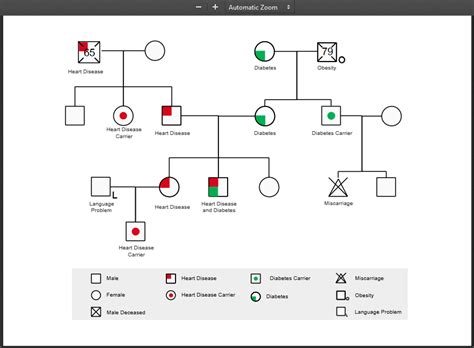 hoe maak je een genogram|MindOnMap Genogram Maker Online:。